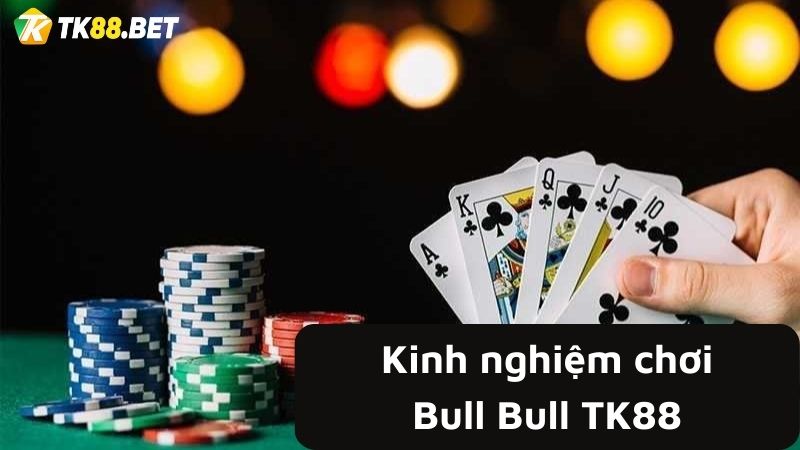 Kinh nghiệm chơi Bul Bull TK88